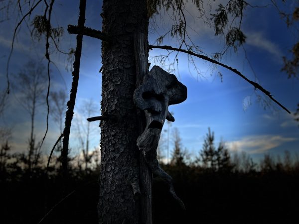 Trolde på træer ved Trollstigen Målerås, Glasriget