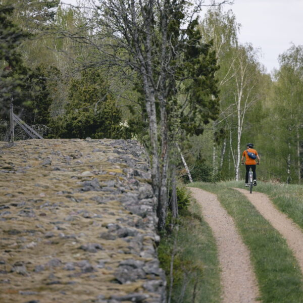 Cyklist på grusväg vid stenmur, Glasriket