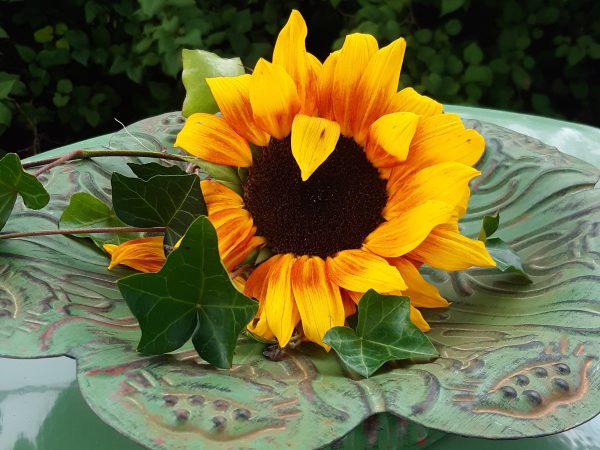 Sonnenblume in der Blumenwerkstatt von Uranäs, Glasreich