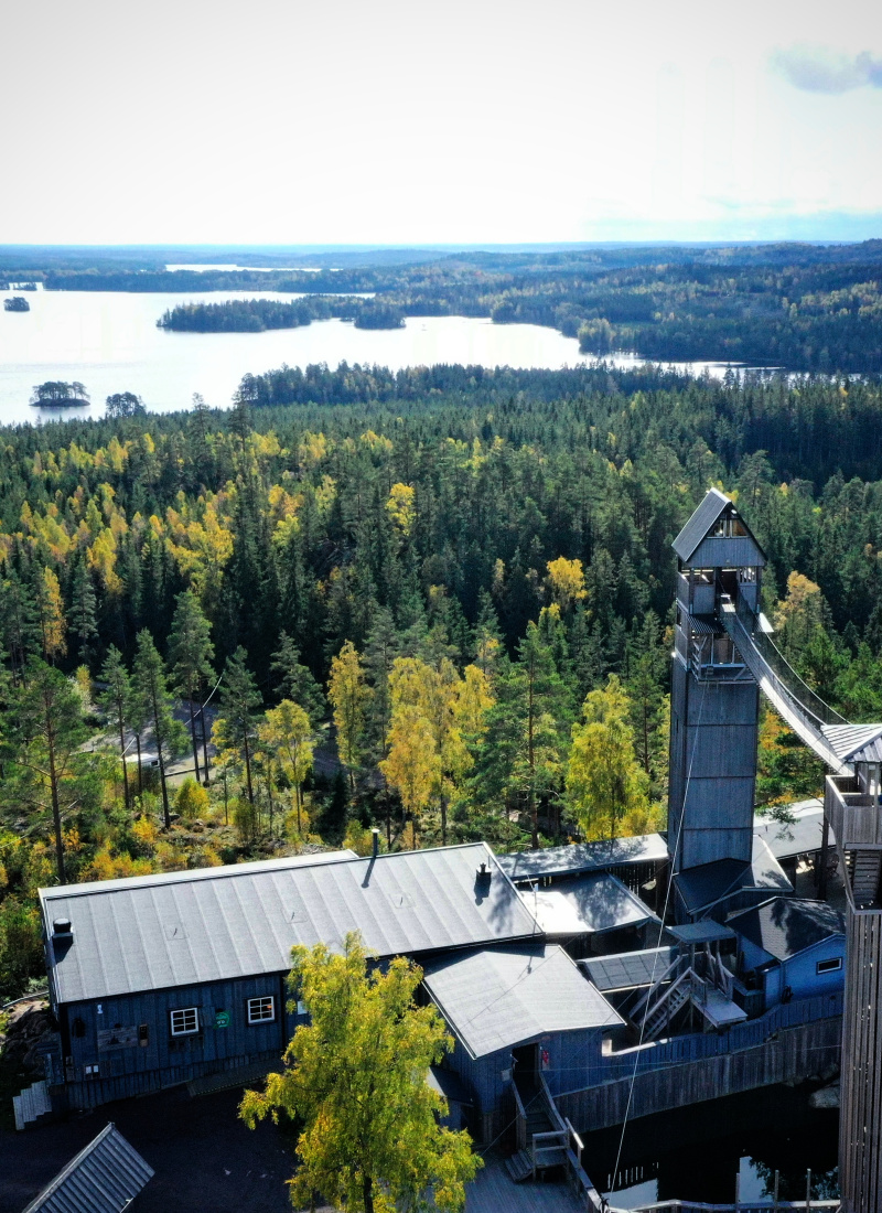 Höst vid Little Rock Lake Zipline