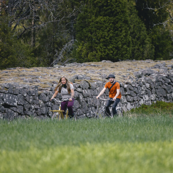 cykel utflykt stenmur#4