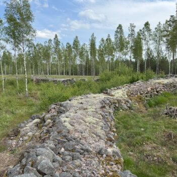 Böljande stenmurar vid Store fälle i Glasriket