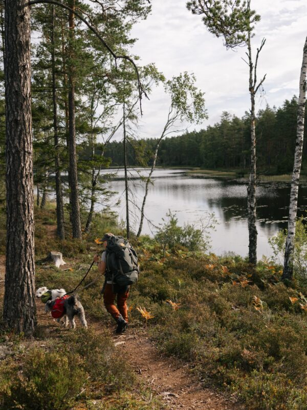 Vandring vid sjö utefter Gråstensmon i Glasriket