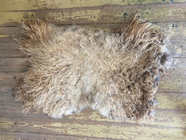 Fäll av klippt ull från Måncraft i Glasriket