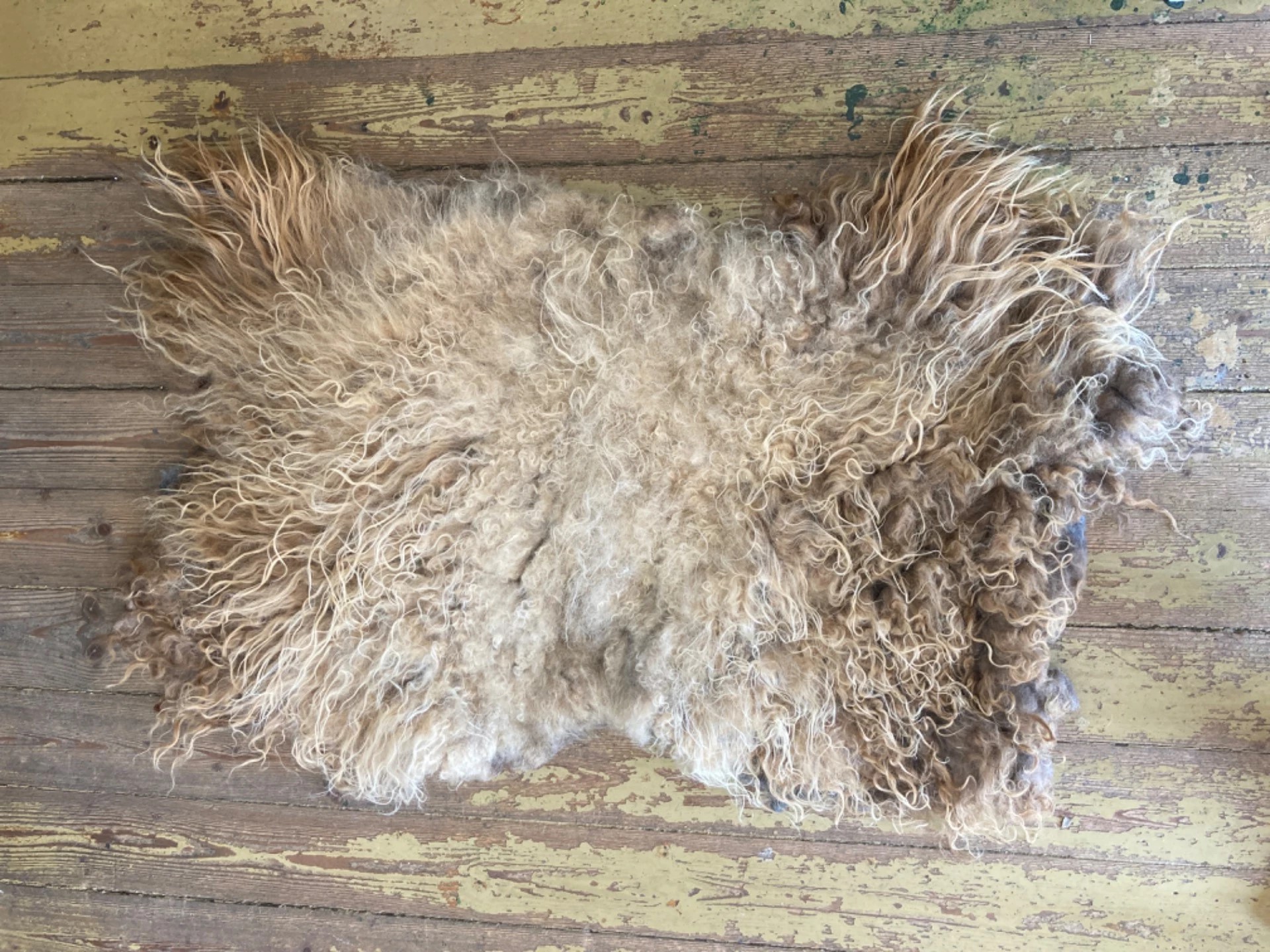 Fäll av klippt ull från Måncraft i Glasriket