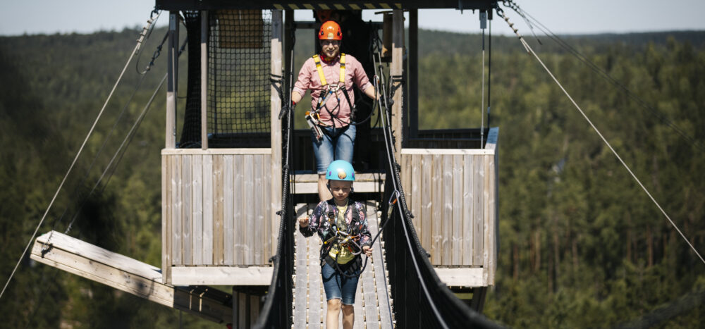 Zipline (3)